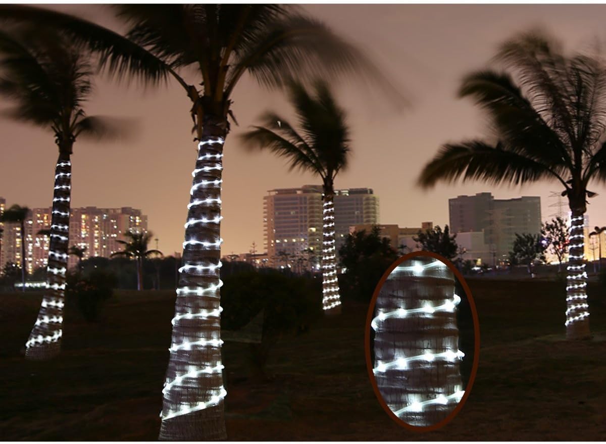 Solar Lichtschlauch Lichterkette,10 Meter 100 LEDs Wasserdicht Außenlichterkette, LED Lichterketten für Hochzeit,Party und Weihnachten,Weihnachtsbeleuchtun